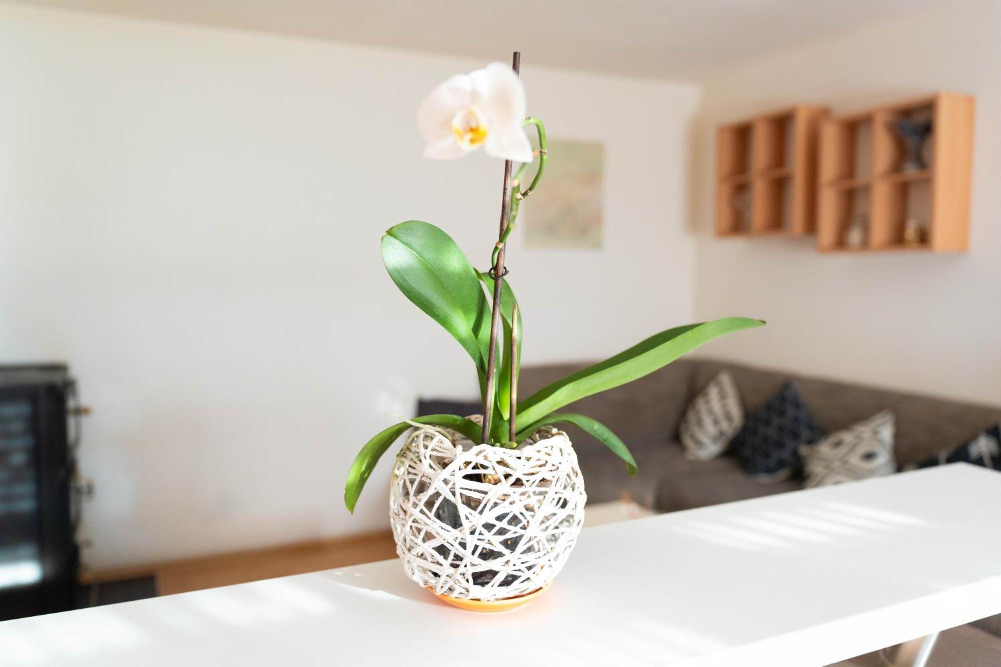 Apartman Lili Knin Extérieur photo